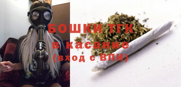 гидра Володарск