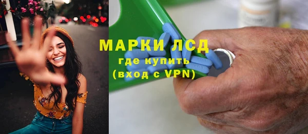 индика Вязьма