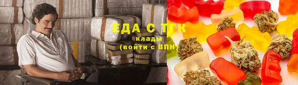 индика Вязьма