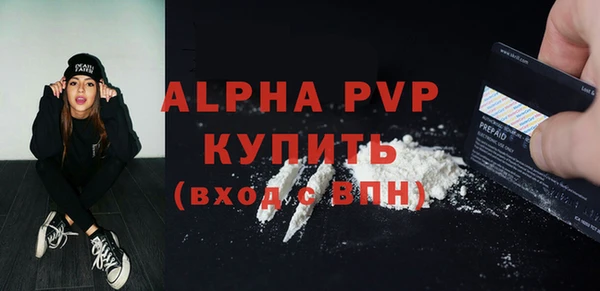 индика Вязьма