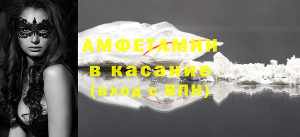 индика Вязьма