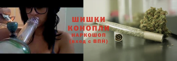 индика Вязьма