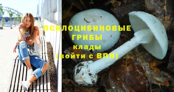 спиды Вязники