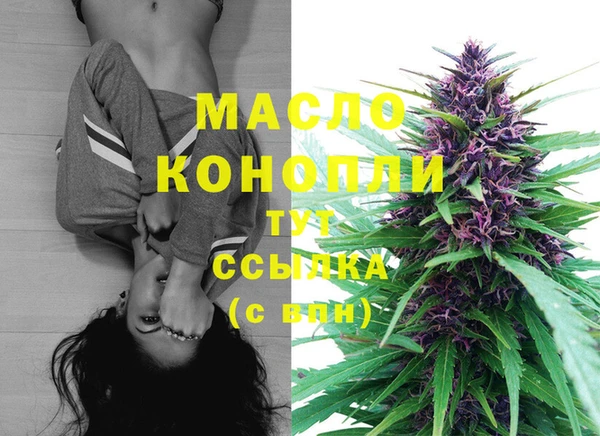индика Вязьма