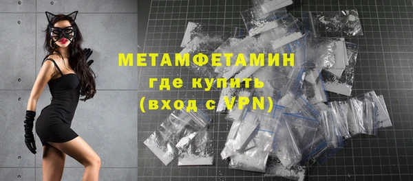 индика Вязьма