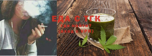 индика Вязьма