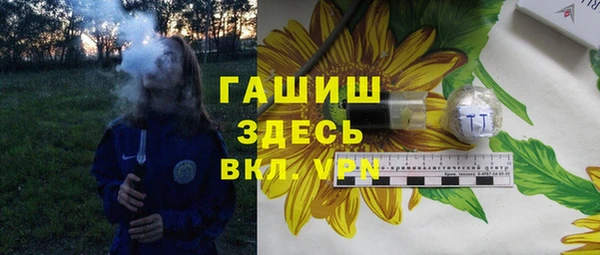 индика Вязьма