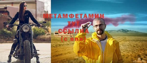 индика Вязьма