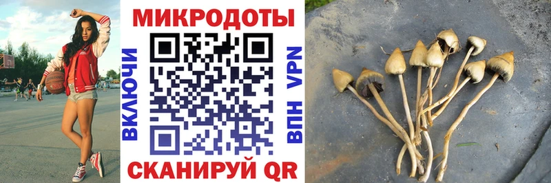 Псилоцибиновые грибы прущие грибы  где продают   Любим 